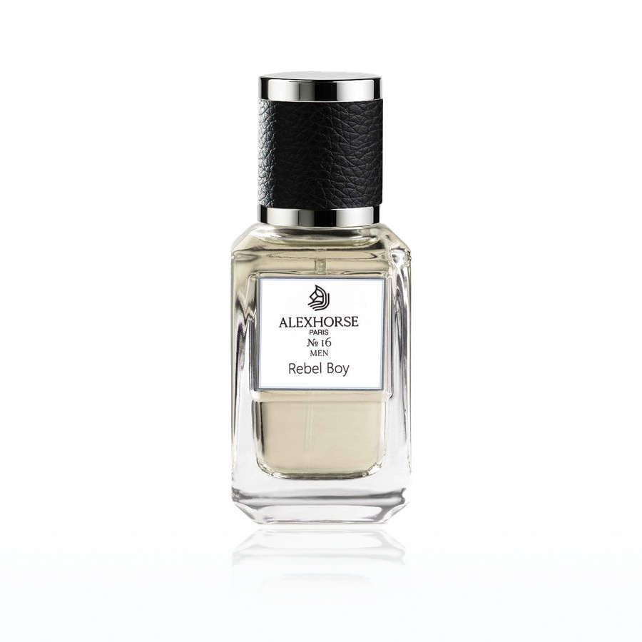 Парфумована вода для чоловіків Rebel Boy ACCENT Alex Horse 50 ml AA-016