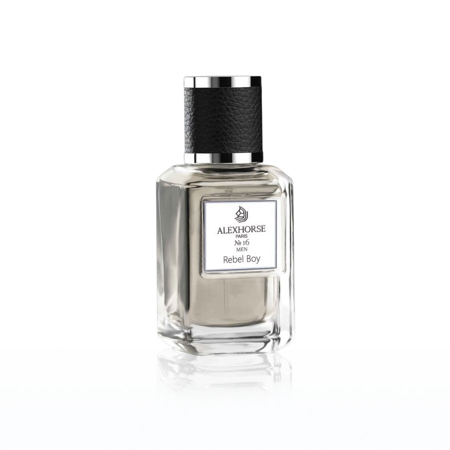 Парфумована вода для чоловіків Rebel Boy ACCENT Alex Horse 50 ml AA-016